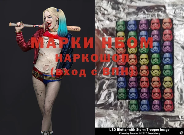 крисы Баксан