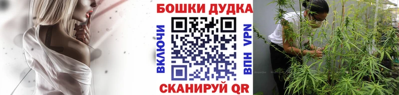 blacksprut онион  Пыталово  Бошки марихуана ГИДРОПОН 